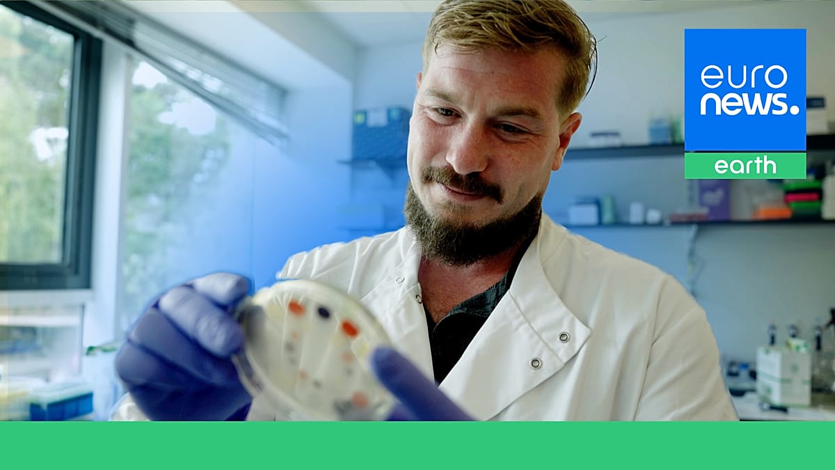 Scientists examining colorful biological dyes produced by bacteria in fermentation tanks at Colorifix facility