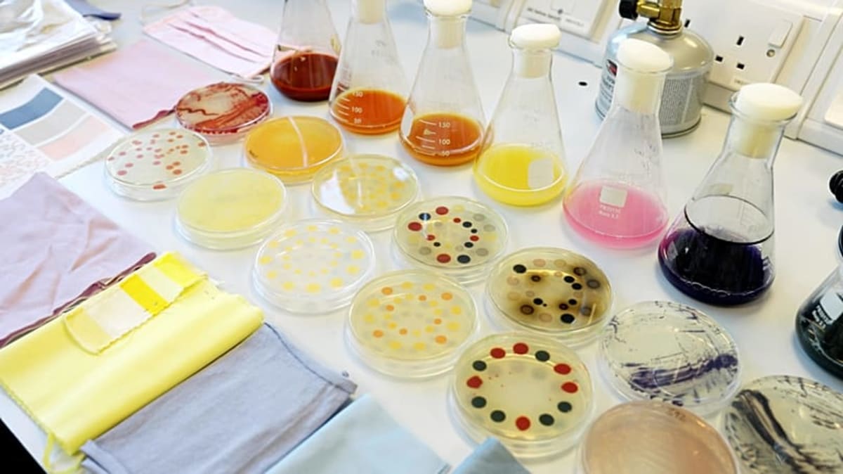Company Brews Fabric Dye Like Beer, Cuts Water Use 77% - Image 2