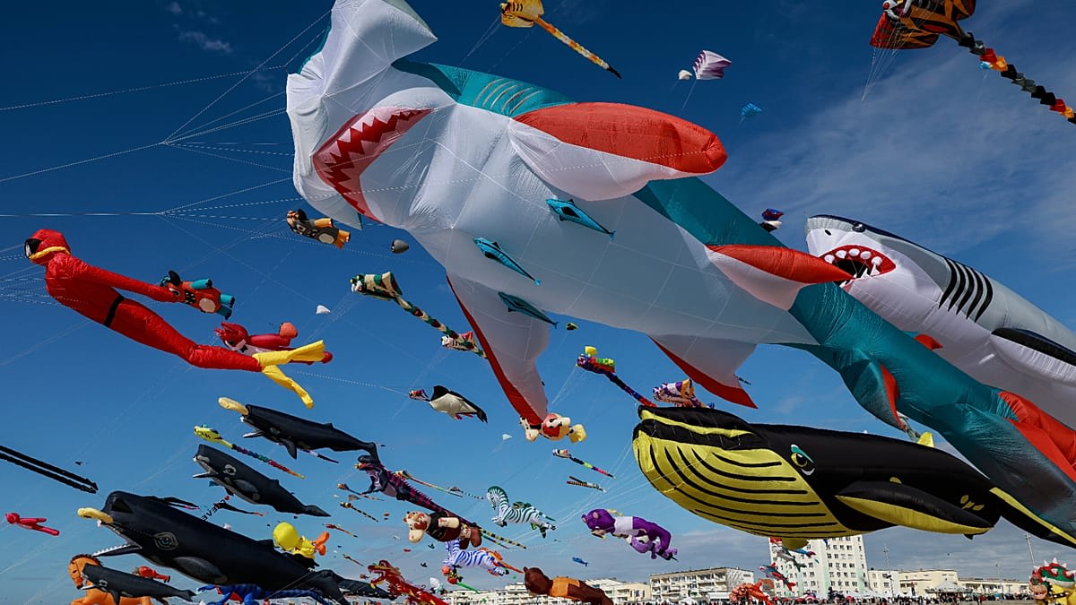 25,000 Kites From 26 Countries Light Up Denmark Skies