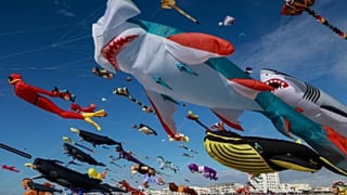 25,000 Kites From 26 Countries Light Up Denmark Skies - Image 3