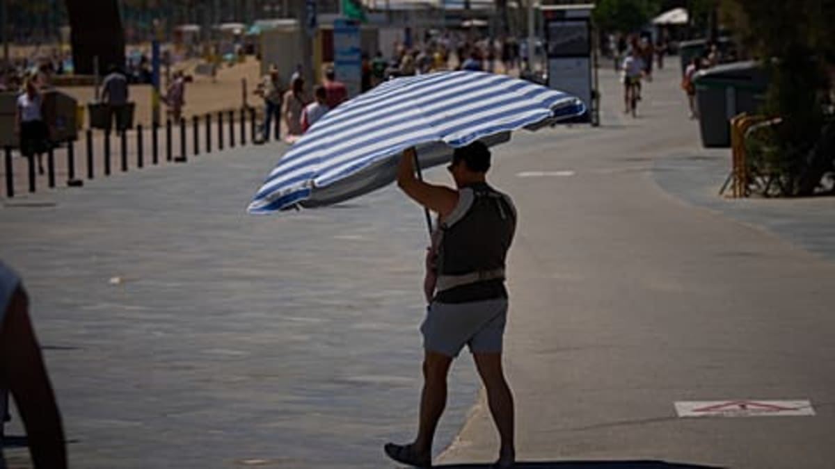 France Invests €80M to Cool Schools During Heatwaves - Image 2