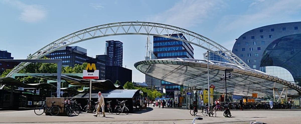 Netherlands Offers Unlimited Train Travel for €49 This Summer - Image 3