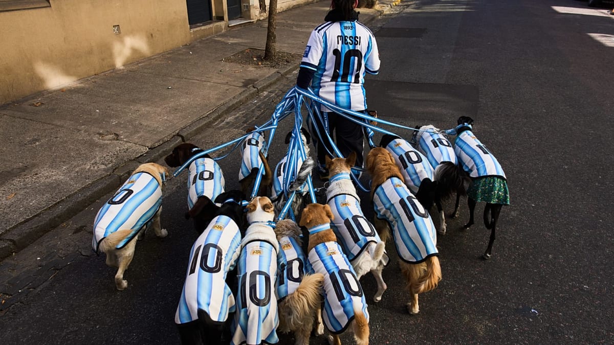 Buenos Aires Dogs Sport Soccer Jerseys for World Cup - Image 2