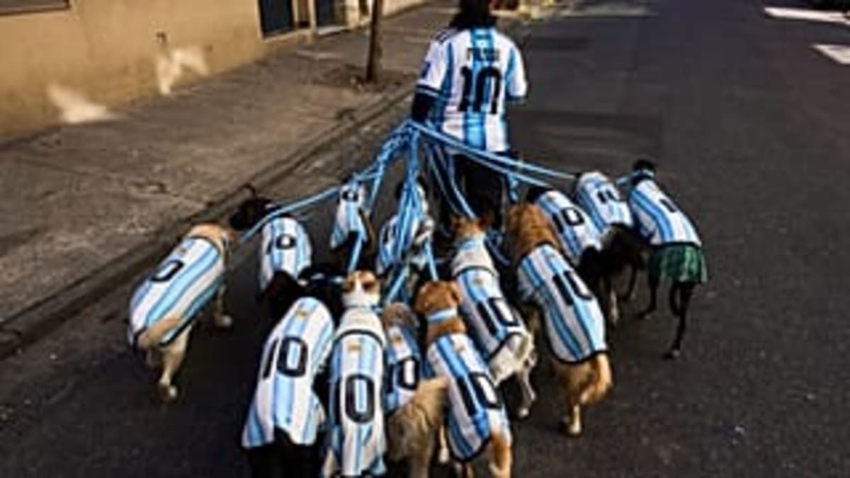 Buenos Aires Dogs Sport Soccer Jerseys for World Cup - Image 3