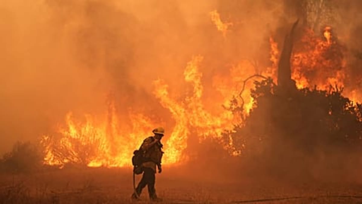 Spain and Italy Rush Teams to Help Portugal Fight Fires - Image 3