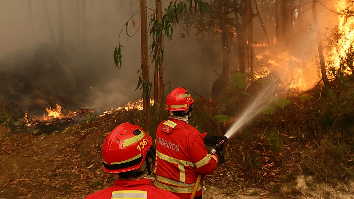 ** Firefighting aircraft flying over forest fire with ground crews working below in Portugal
