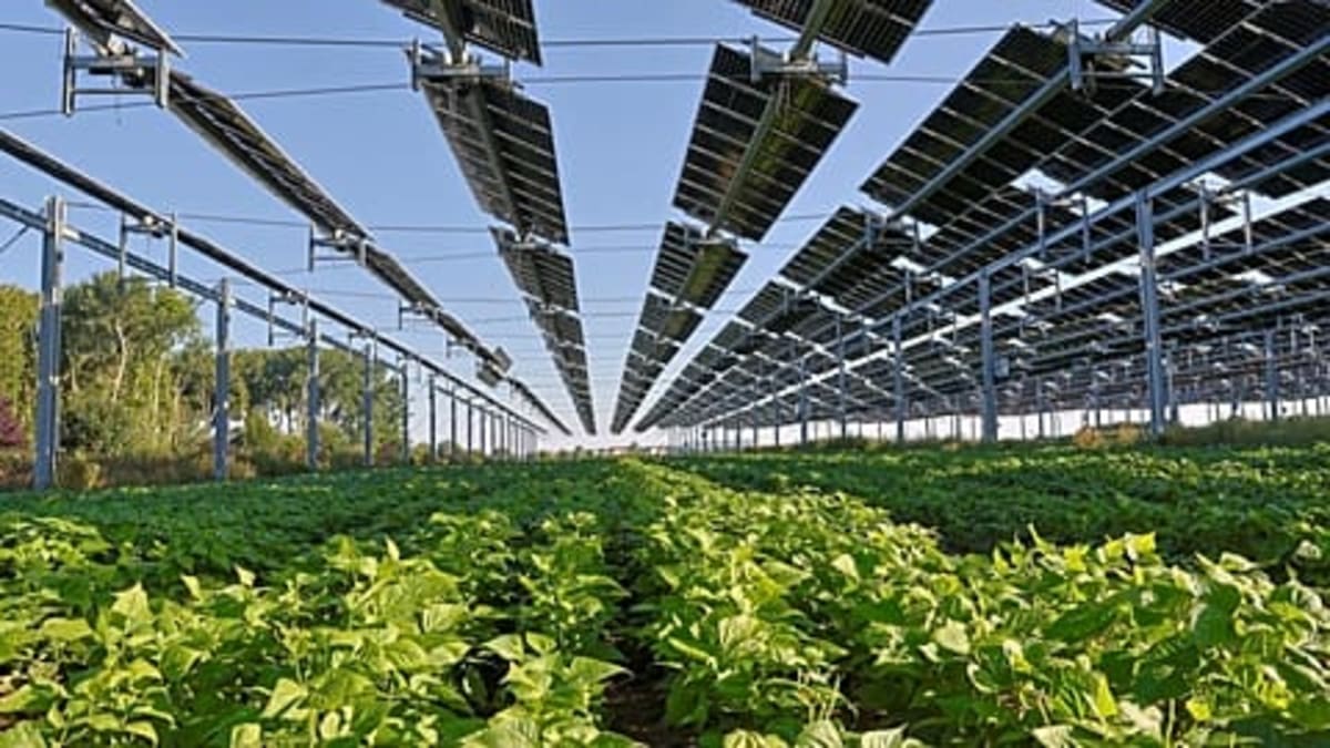 Portugal's Solar Power Tops All Sources for First Time - Image 2