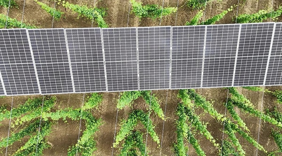 Bavarian Hop Farmer Doubles Income With Solar Panel 'Hats - Image 5