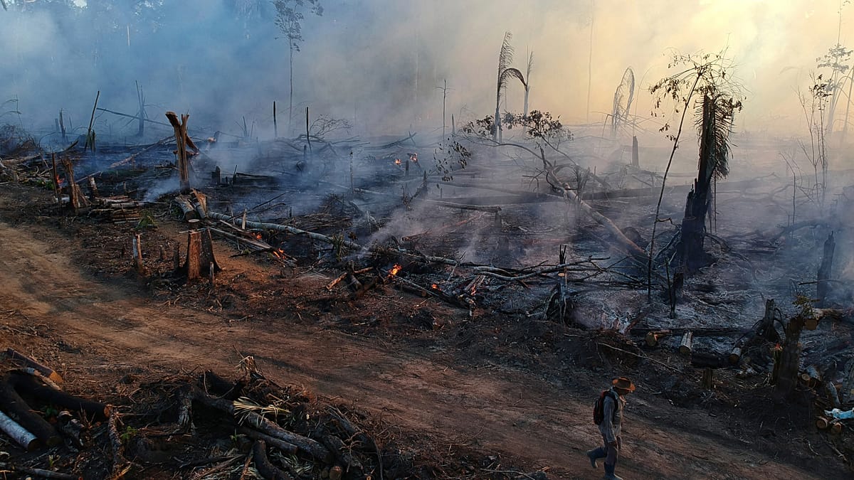 Amazon Forest Fires Hit Record Low in 2025