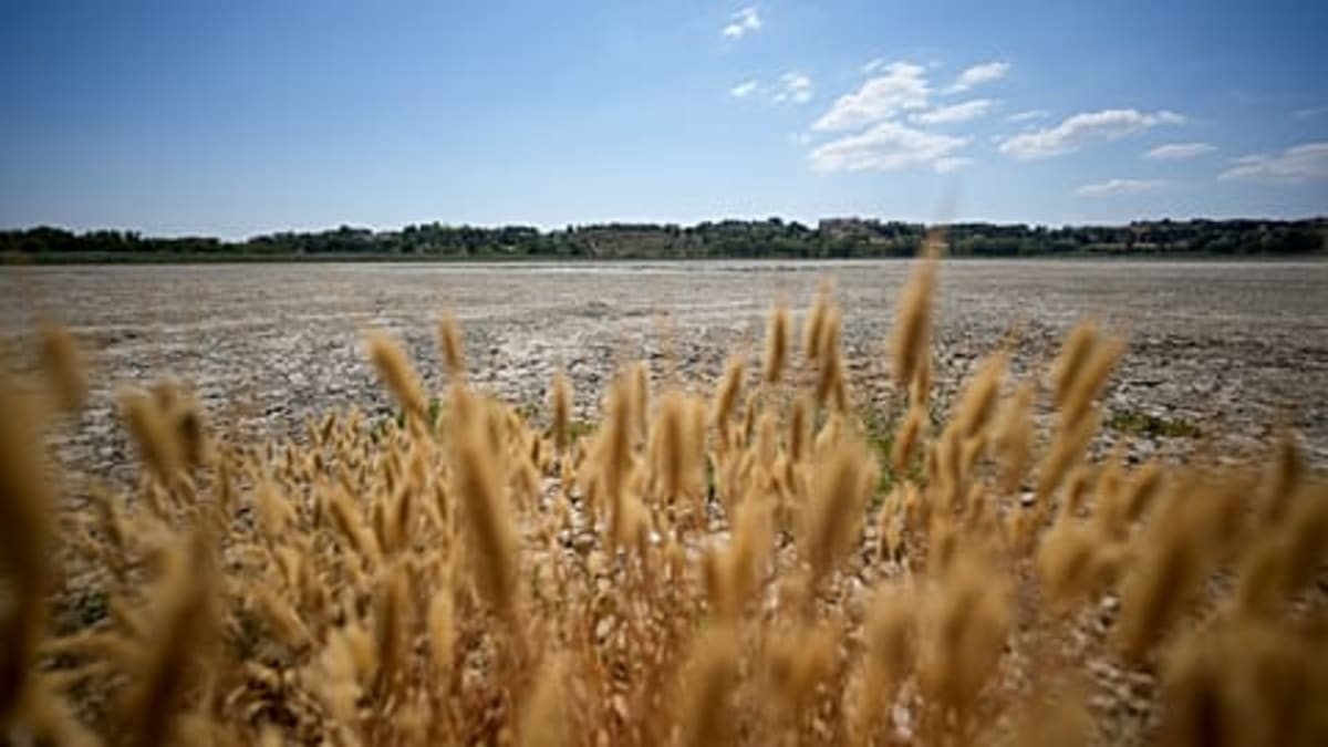 Europe Cuts Renewable Energy Waste 32% With Smart Solutions - Image 3
