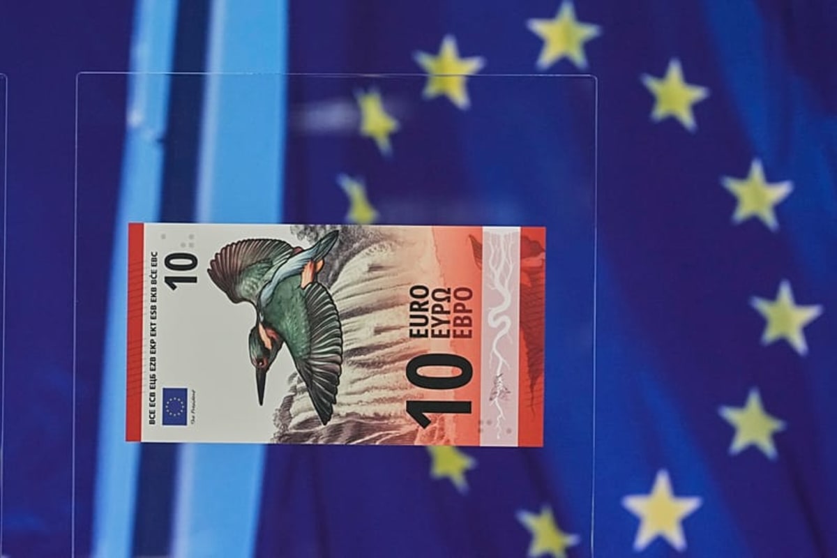 Europeans Vote on New Euro Designs: Birds or Beethoven? - Image 2