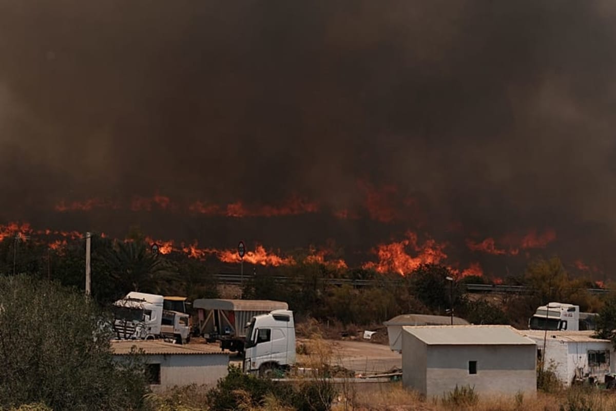Scientists Crack Code on Fighting Mega-Wildfires - Image 3