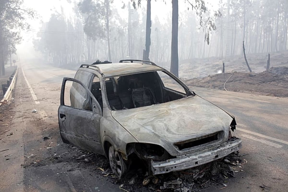 Scientists Crack Code on Fighting Mega-Wildfires - Image 2