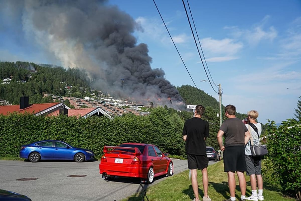 Scientists Crack Code on Fighting Mega-Wildfires - Image 4