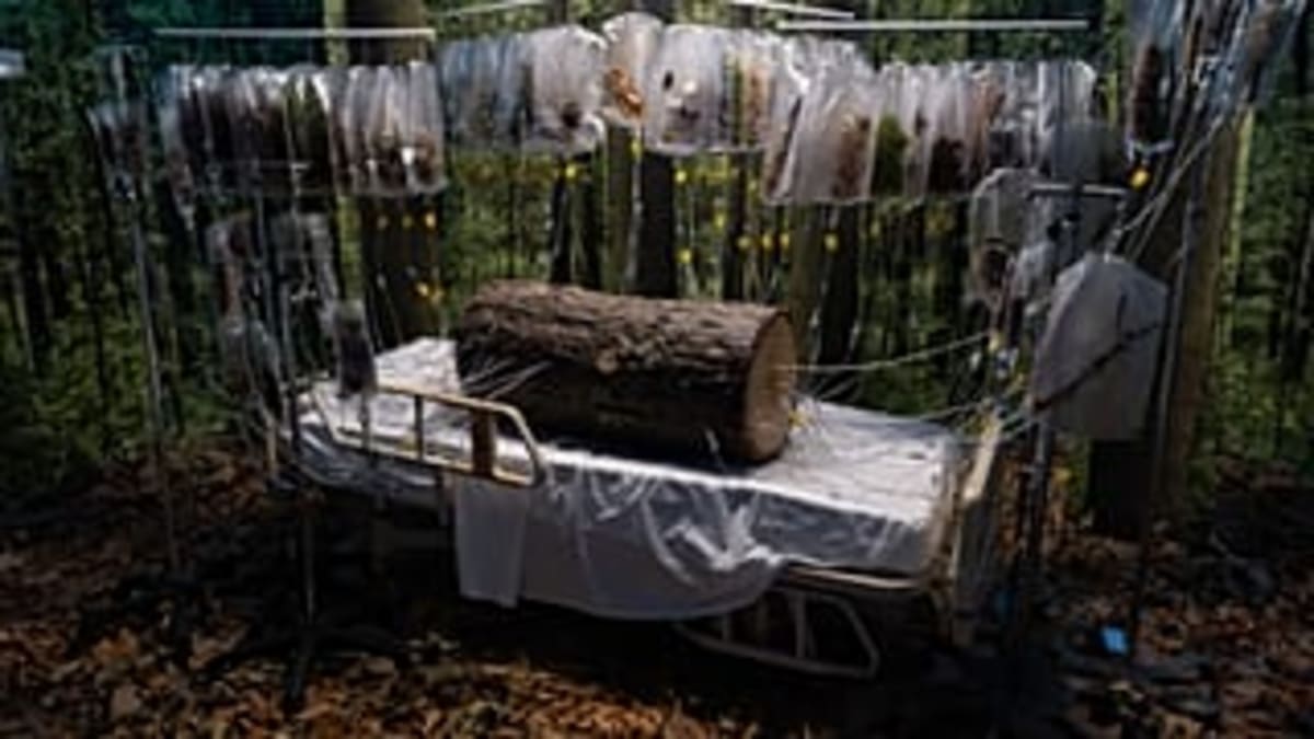 LA Hospital Becomes 80-Room Art Gallery of Human Emotion - Image 3