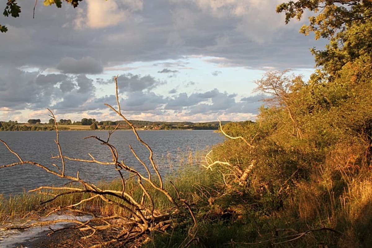 Germany's Hidden Islands Offer Car-Free Escapes - Image 4