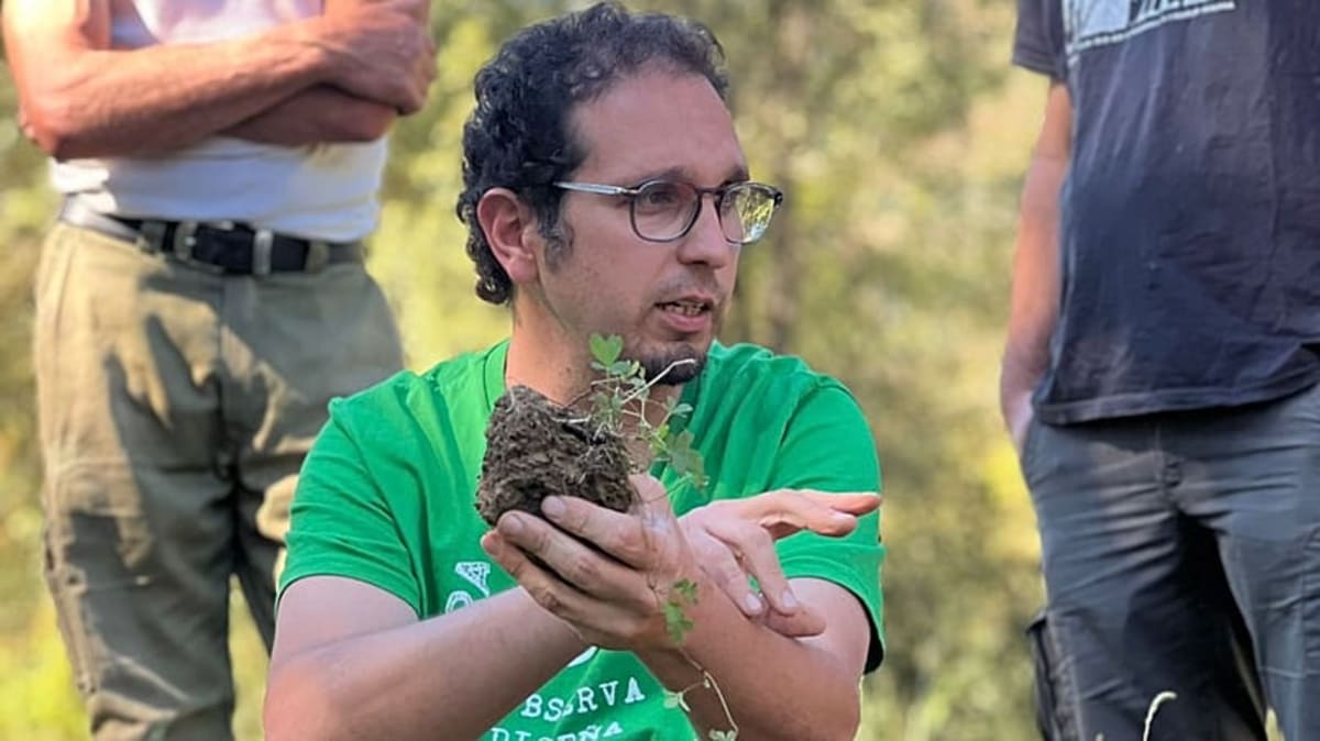 Spanish Farmers Stop Wildfires with Sheep and Smart Grazing - Image 2
