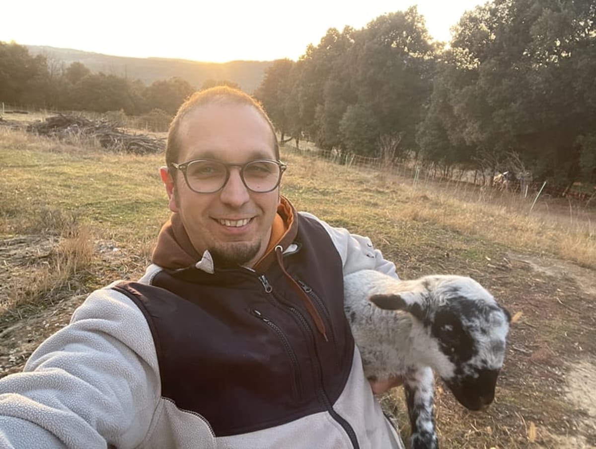 Spanish Farmers Stop Wildfires with Sheep and Smart Grazing - Image 3