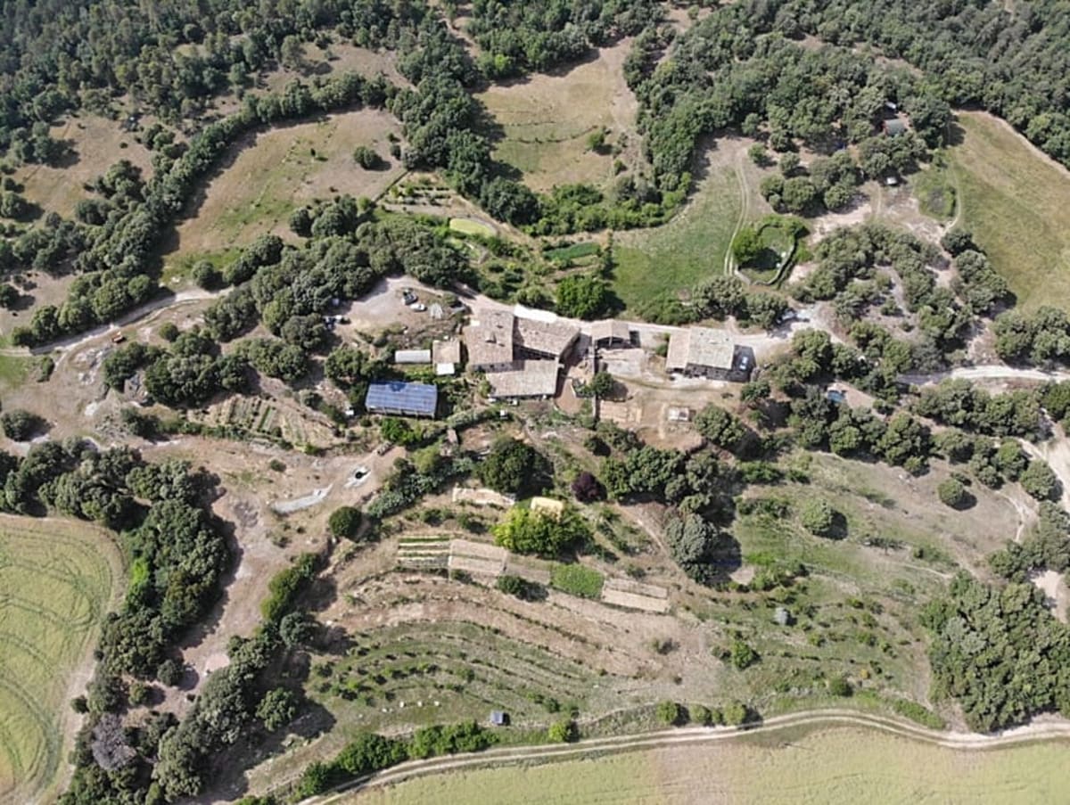 Spanish Farmers Stop Wildfires with Sheep and Smart Grazing - Image 4