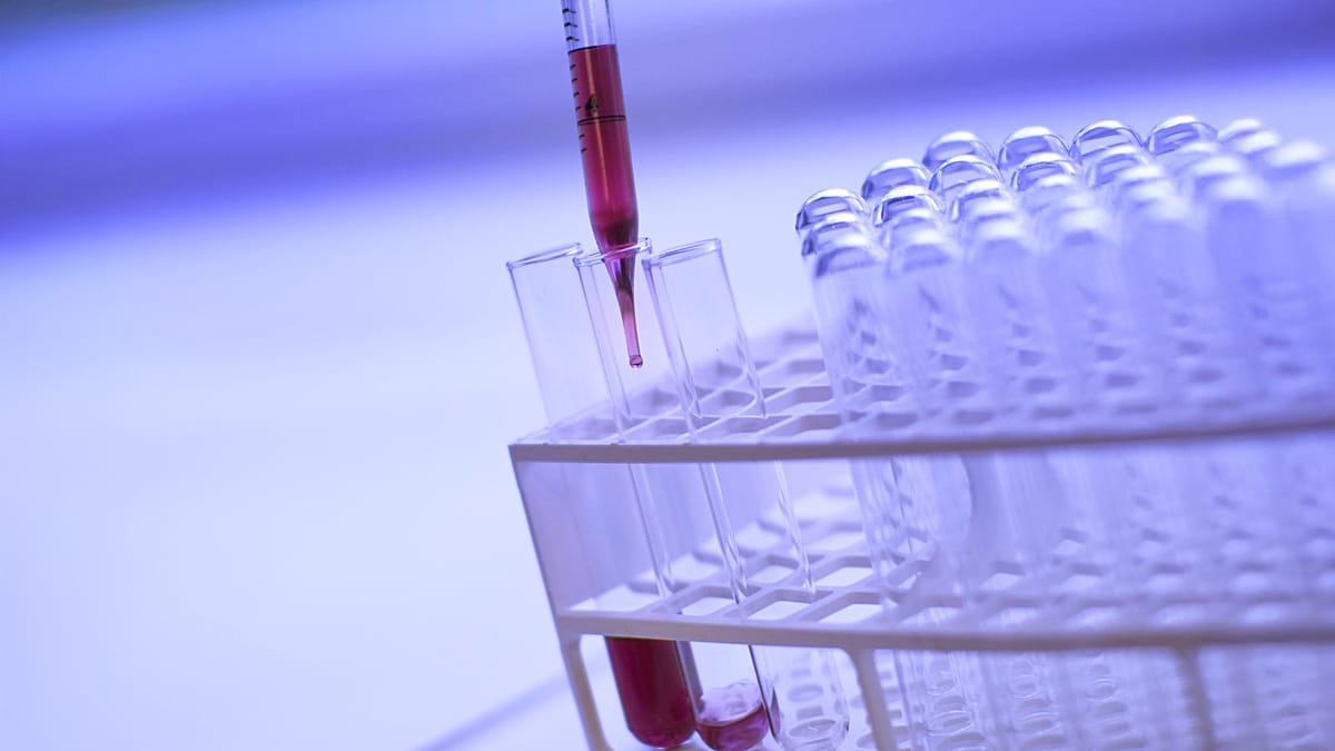 Basque Country Cuts Colon Cancer Deaths in Half