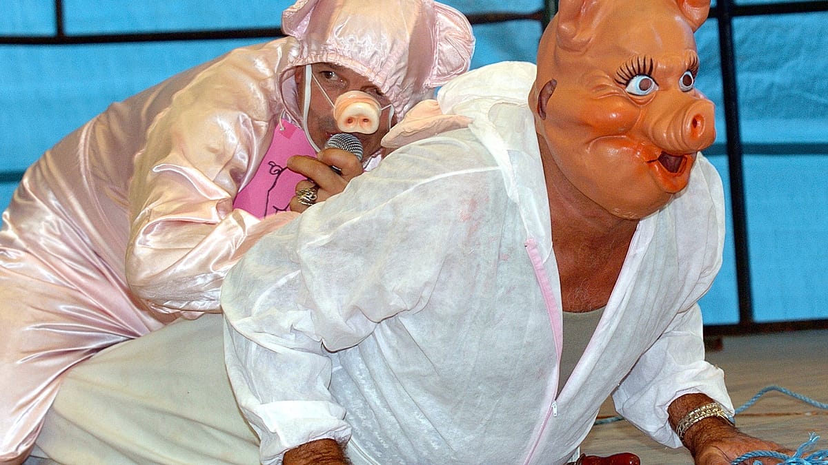 French Village Hosts 43rd Pig-Squealing Championship