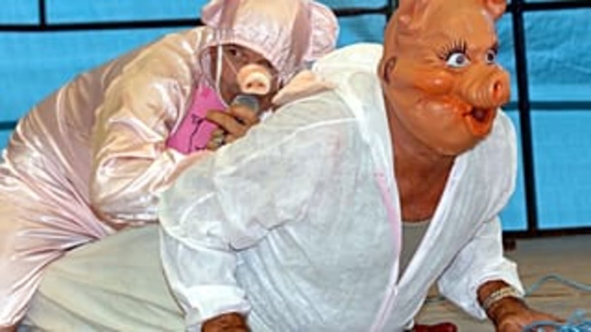 French Village Hosts 43rd Pig-Squealing Championship - Image 3