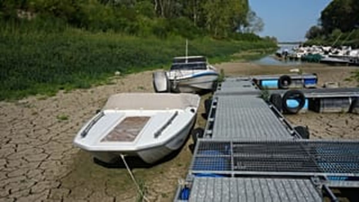 Bulgaria's Black Sea Turns Into Digital Art Gallery - Image 4