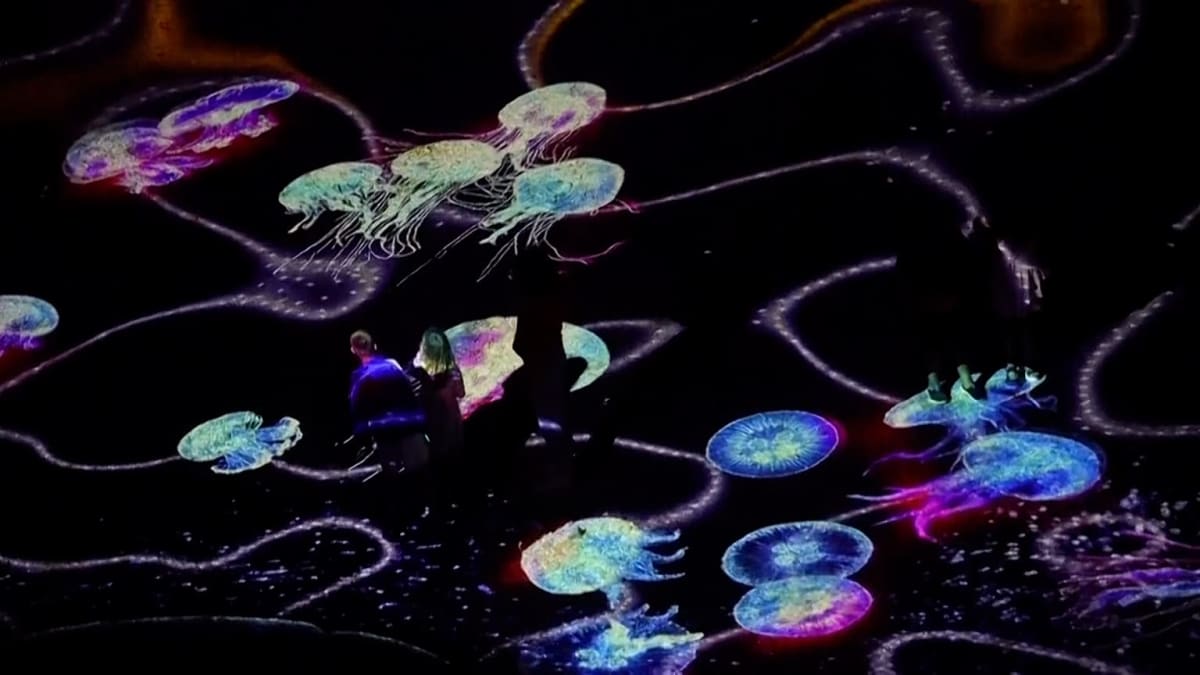 Bulgaria's Black Sea Turns Into Digital Art Gallery - Image 2
