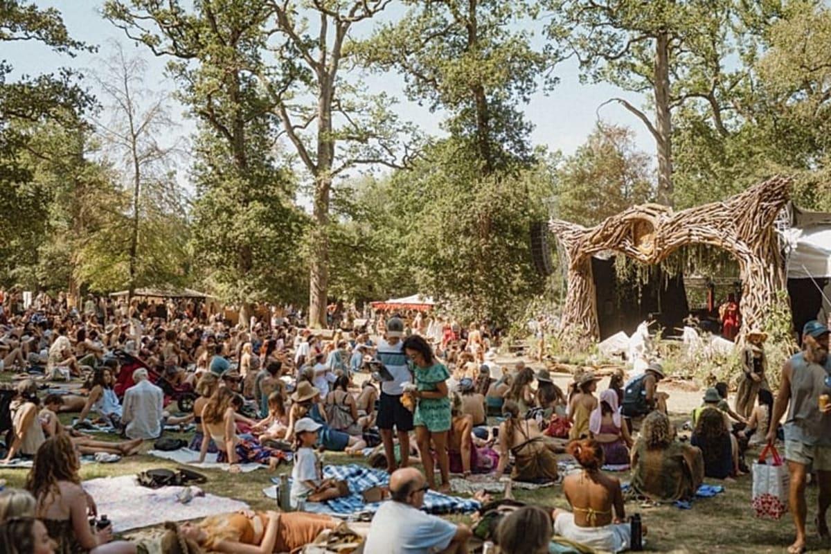 UK's Medicine Festival Draws 10,000 for Music and Nature - Image 2