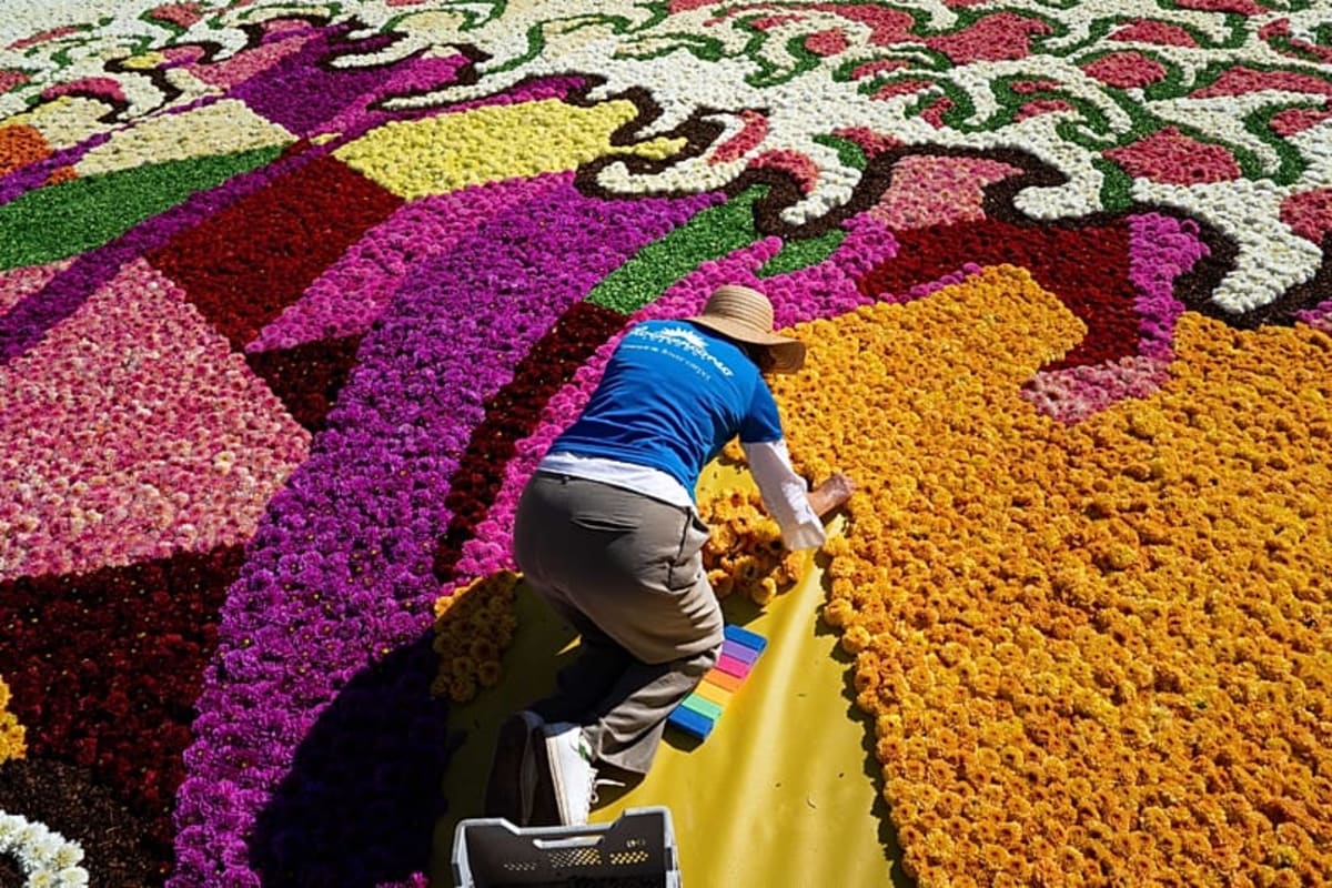 700,000 Flowers Transform Brussels Into Japanese Masterpiece - Image 2