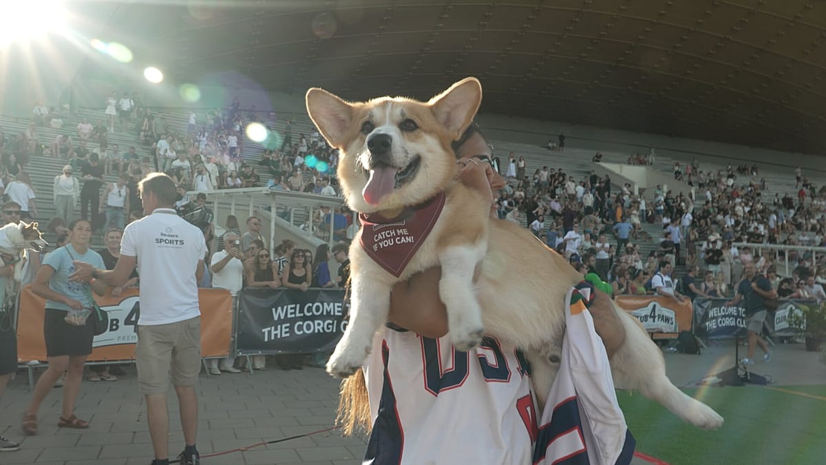 150 Corgis From 9 Countries Race in Vilnius
