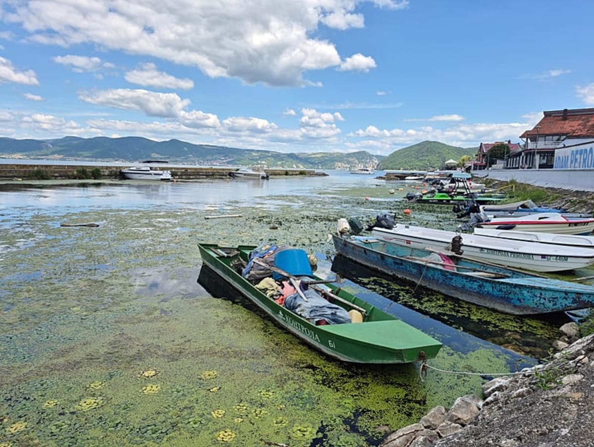 Couple Bikes 3,000km, Finds Hope Along Drought-Hit Danube - Image 4
