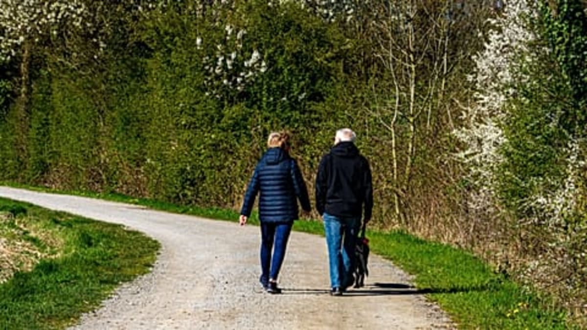 Surgery Recovery Better with Mental Health Care - Image 4