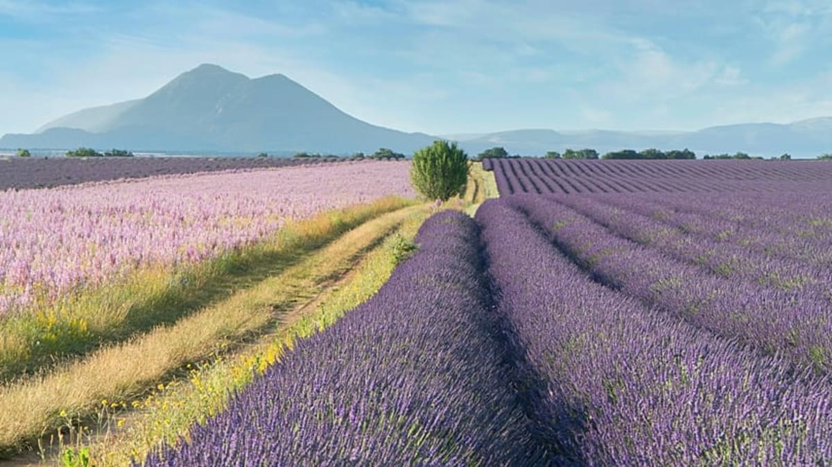 8 of World's Top 15 Cycling Routes Are in Europe - Image 2