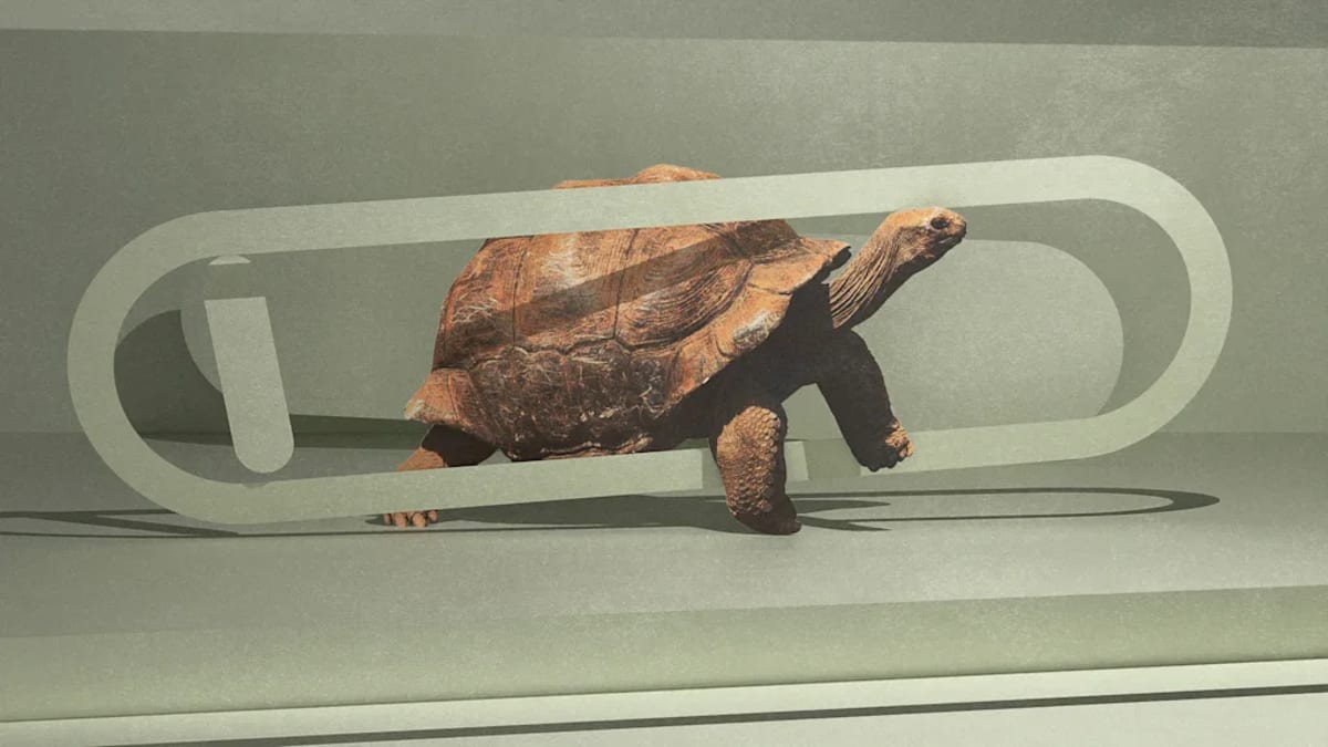 Designer Creates Tool That Slows Down AI Chatbots