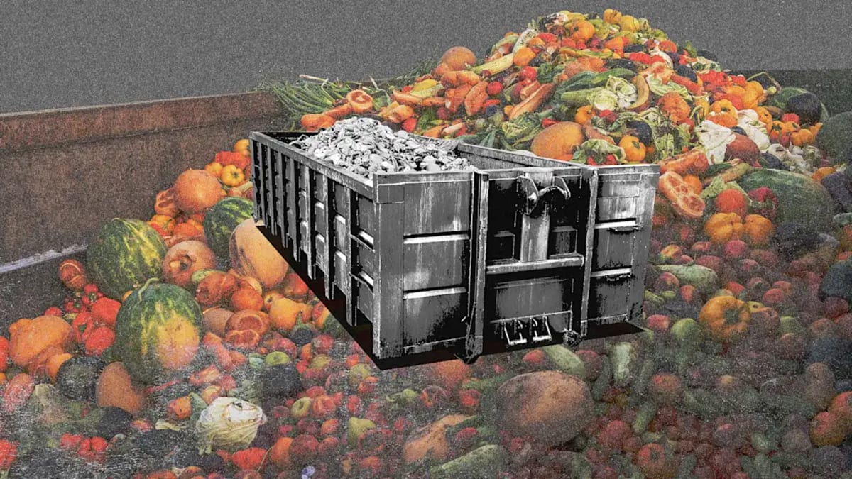 AI Cuts Grocery Waste by 25%, Saves Millions of Tons of Food