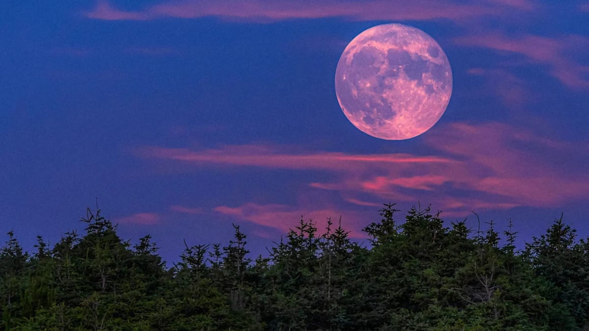 April's Pink Moon Rises Alongside NASA Artemis II Launch