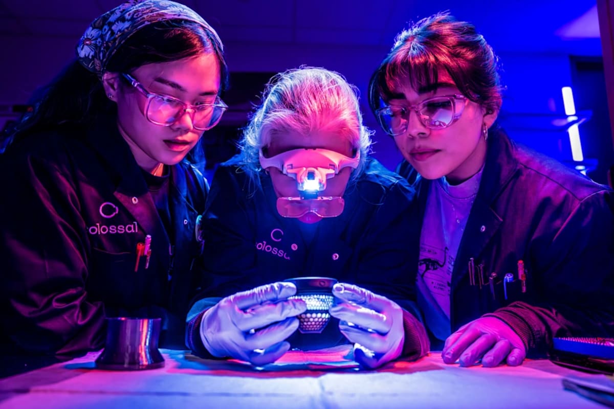 Texas Lab Hatches Chickens in 3D-Printed Artificial Eggs - Image 4