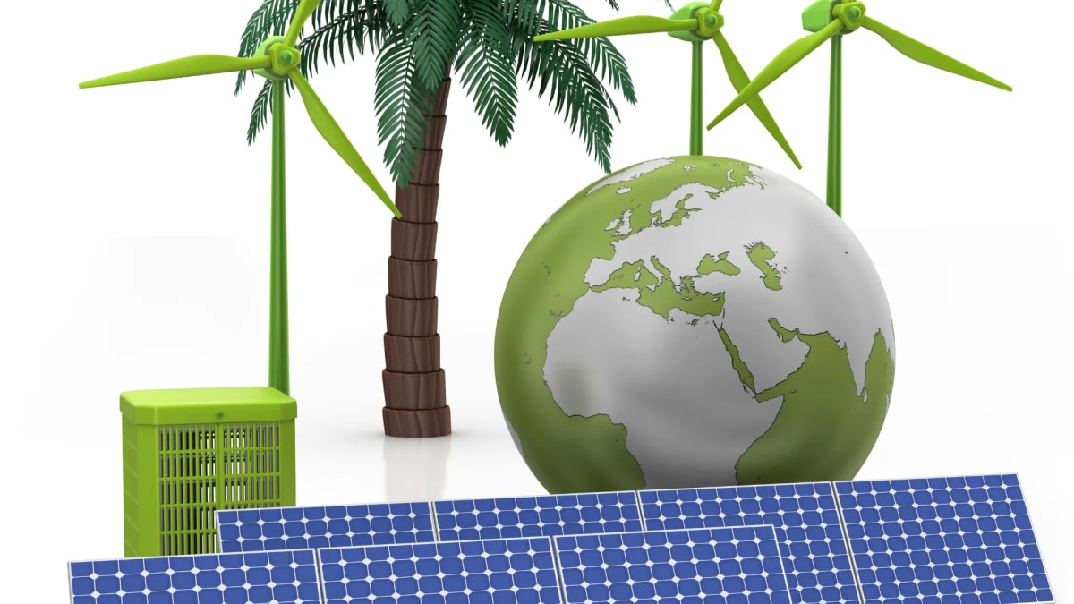 100,000 Home Batteries Kept Lights On During Winter Storm Fern