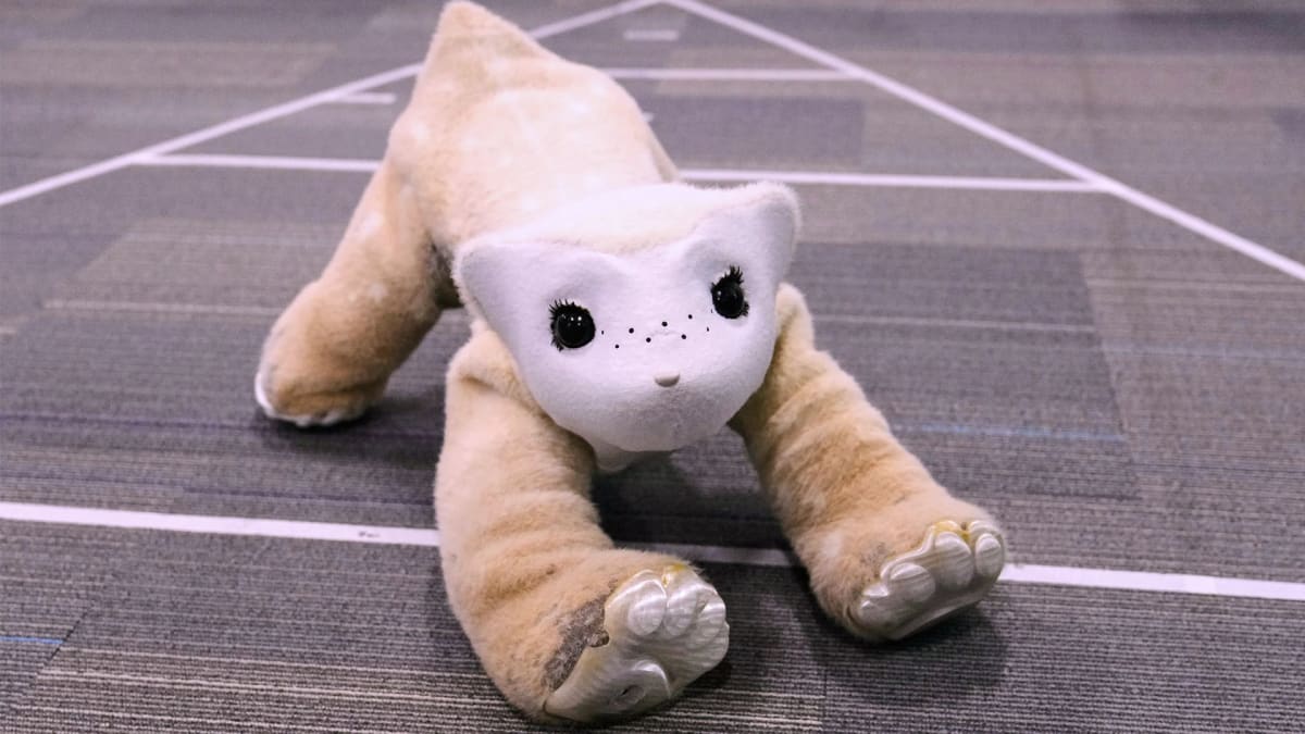 Roomba Creator Builds AI Pet Robot That Learns Your Habits
