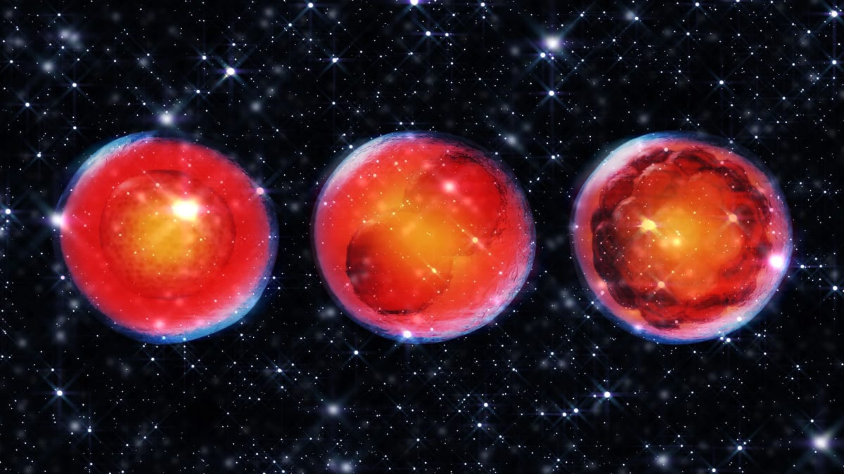 China Tests Human Embryos in Space for Future Colonies