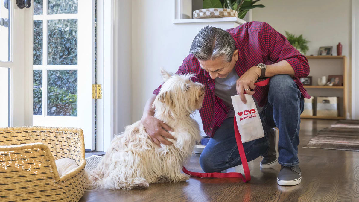 Happy dog sitting next to CVS pharmacy bag with prescription medication bottles