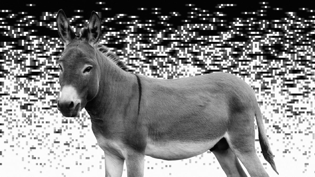 Eloise the Donkey Blocks Florida Data Center Development