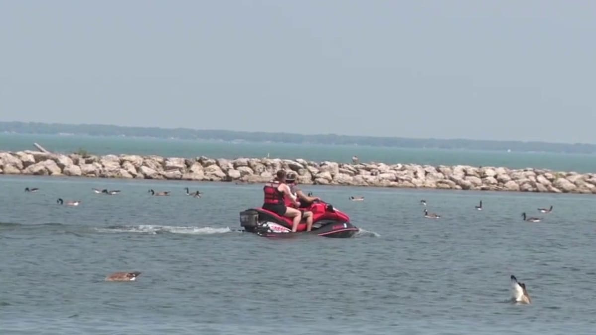 Good Samaritan Saves Jet Skier in Lake St. Clair - Image 2
