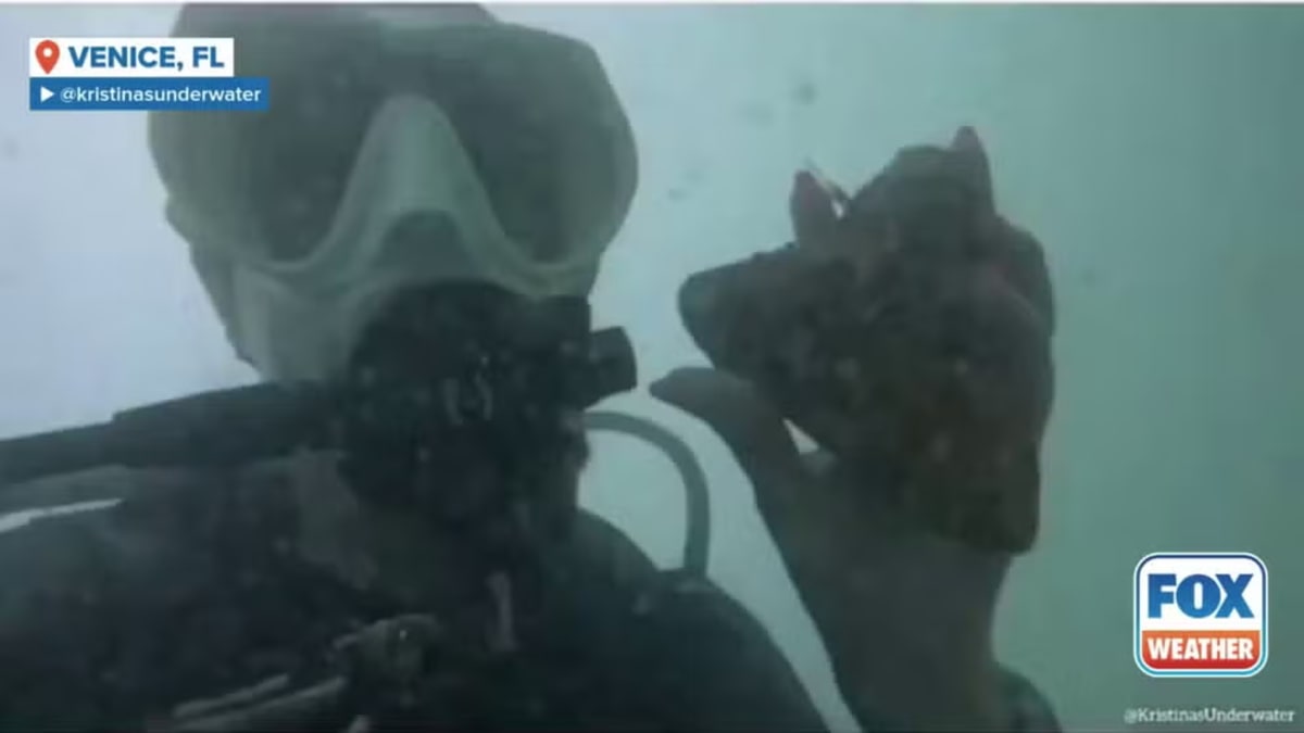 12-Year-Old Finds 85-Million-Year-Old Sea Monster Fossil - Image 2