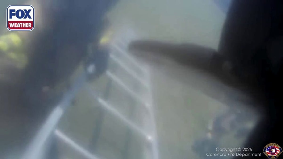 Louisiana Firefighter Rescues Dog From Zero-Visibility Blaze - Image 2