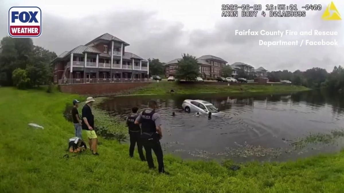 Human Chain Saves Driver From Sinking Virginia Car - Image 2