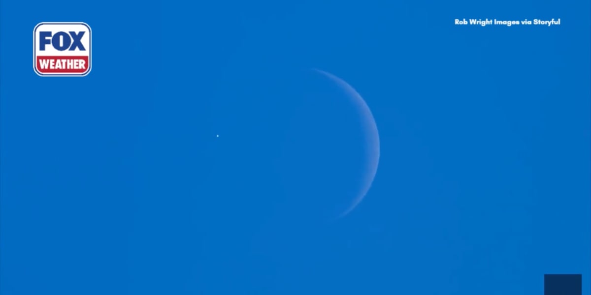 Timelapse showing bright Venus disappearing behind crescent moon's dark edge during daylight occultation