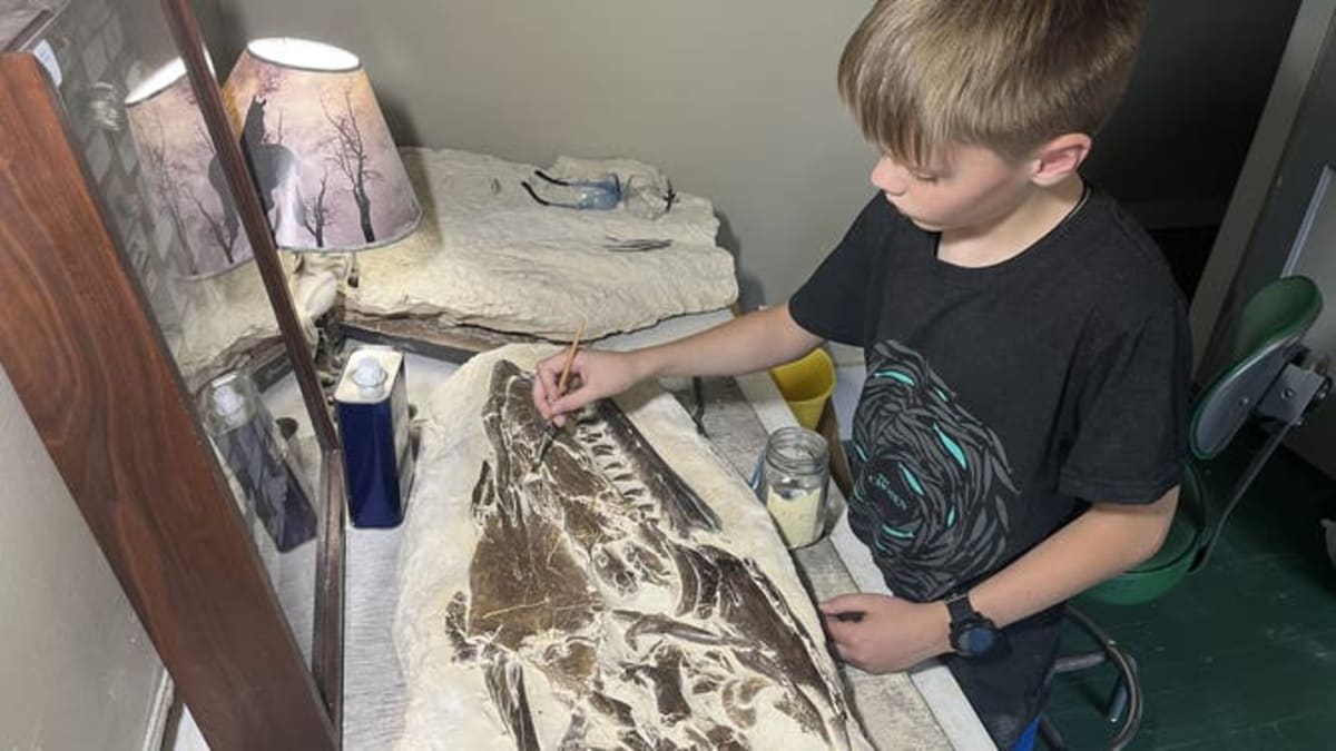 12-Year-Old Finds 85-Million-Year-Old Sea Monster Fossil - Image 5