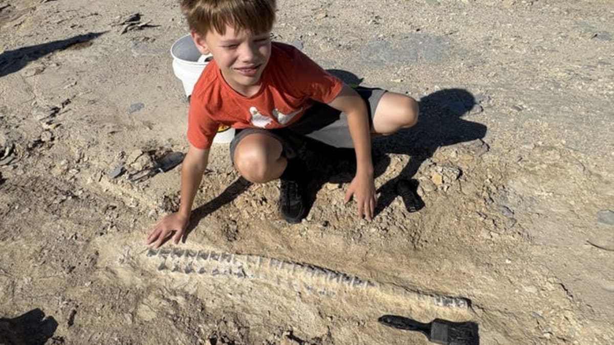 12-Year-Old Finds 85-Million-Year-Old Sea Monster Fossil - Image 3
